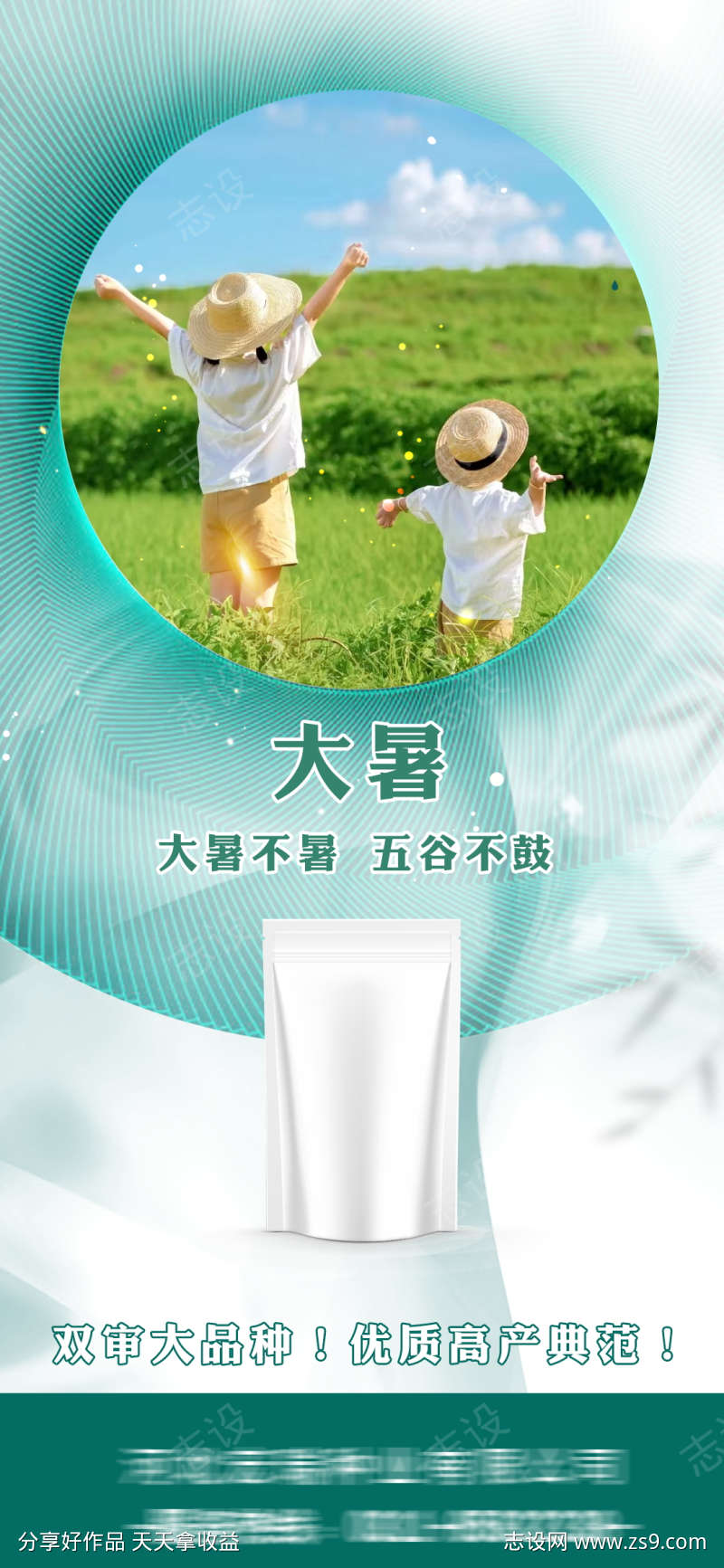大暑节气海报