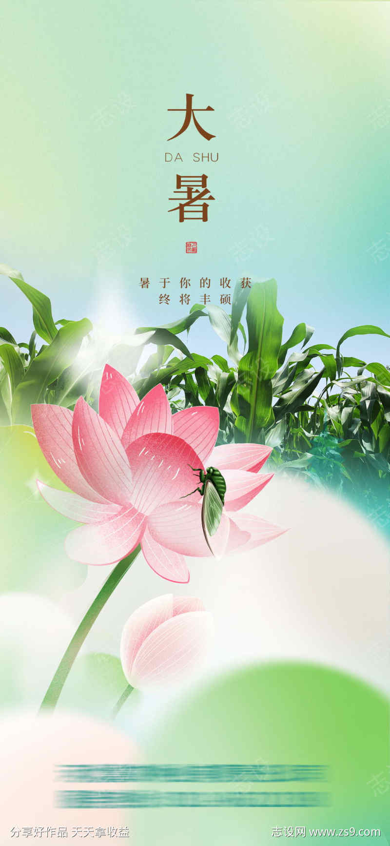 大暑节气海报