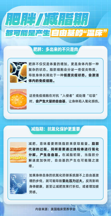 减肥海报1_源文件下载_PSD格式_1200X2319像素-科普,自由基,肥胖-作品编号:2025071811184892-志设-zs9.com