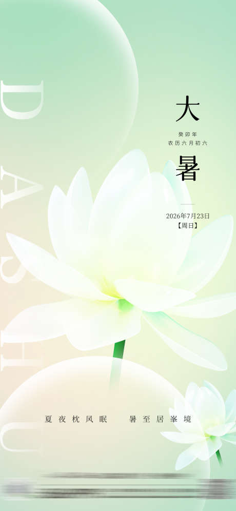 大暑节气荷花
