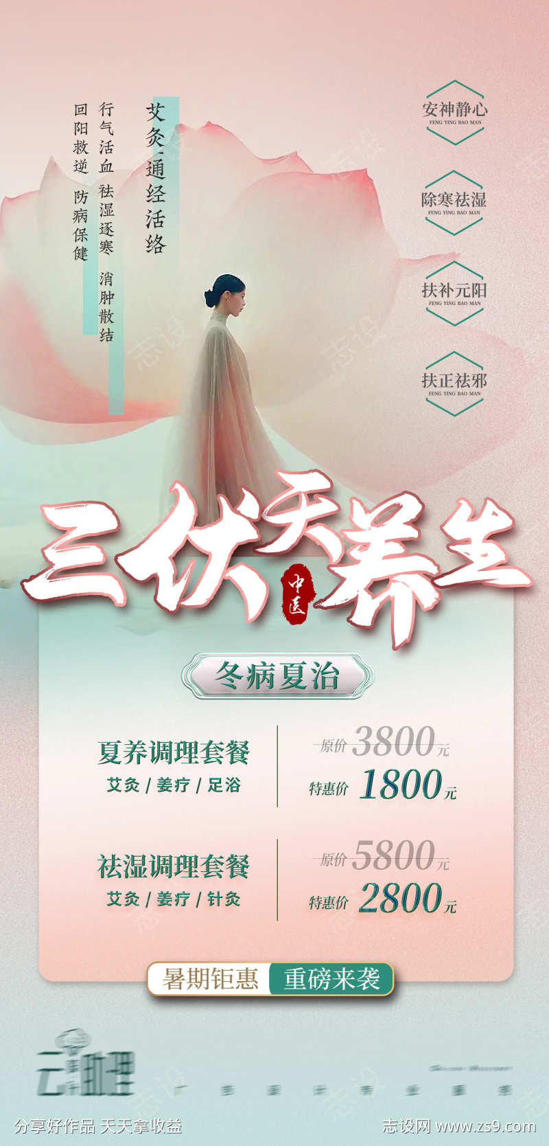 三伏天艾灸养生海报