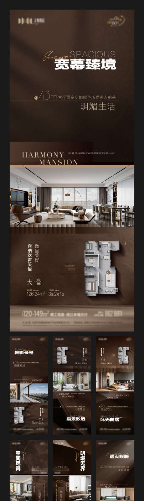 地产户型卖点系列海报