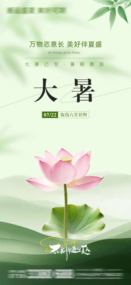 大暑节气海报_源文件下载_PSD格式_1080X2340像素-节气,海报,荷花-作品编号:2025071914037457-志设-zs9.com