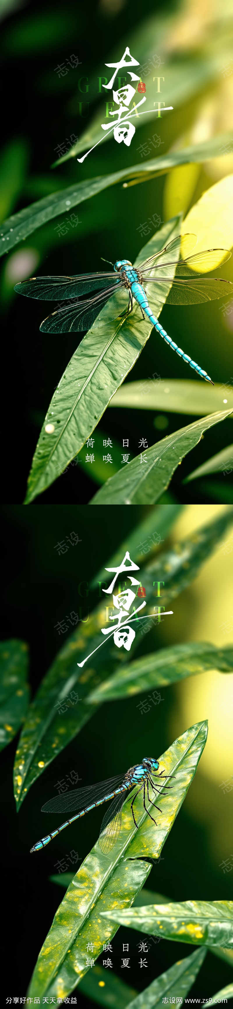 大暑小暑处暑节气节日海报
