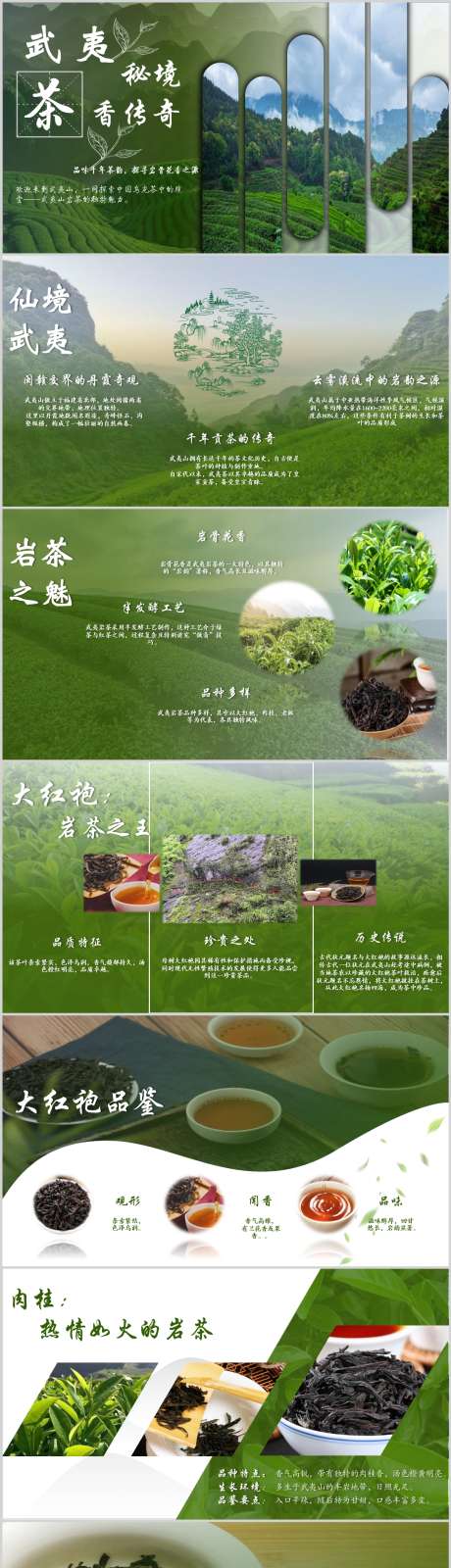 武夷秘境茶香传奇_源文件下载_PPT,PPTX格式_1212X7497像素-国风,茶叶,商业-作品编号:2025072016492219-志设-zs9.com