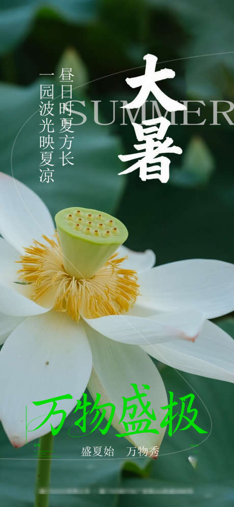 大暑节气海报_源文件下载_PSD格式_1080X2338像素-海报,节气,大暑-作品编号:2025072110117440-志设-zs9.com