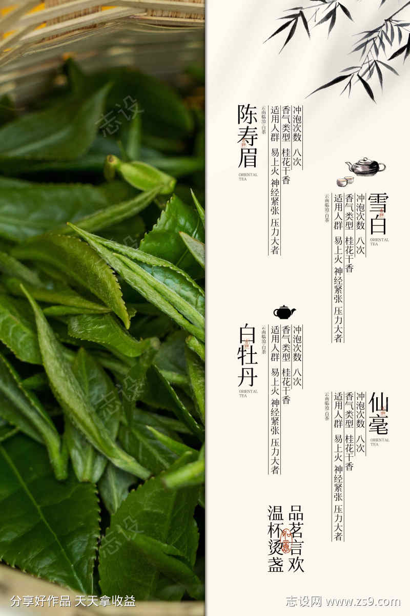 茶叶茶饮饮品宣传海报