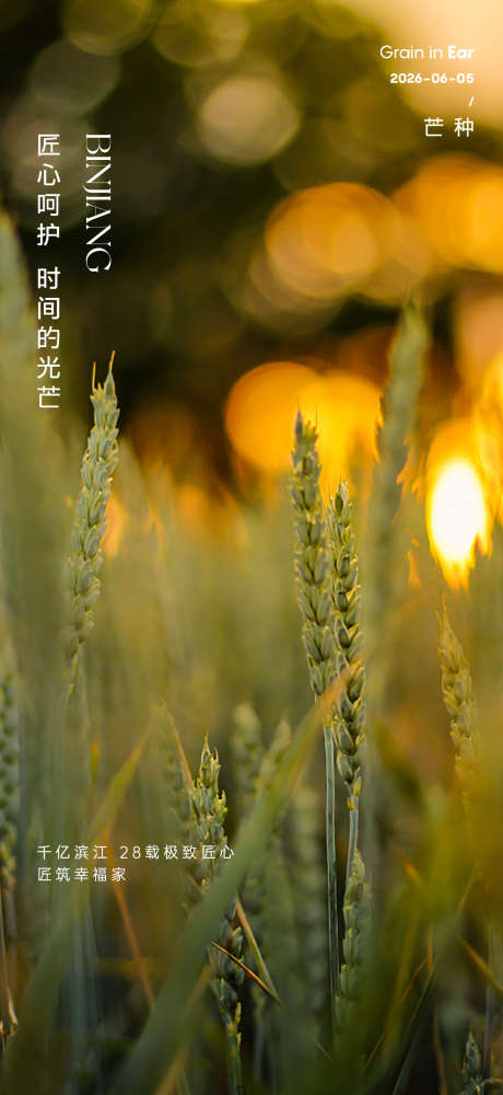 芒种节气海报_源文件下载_AI格式_1125X2445像素-小麦,丰收,夏日-作品编号:2025072213371911-志˯设ˈ̹网