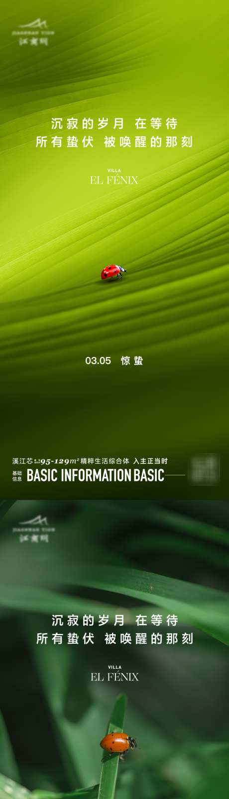 惊蛰节气海报_源文件下载_AI格式_1110X4816像素-简约,惊蛰,二十四节气-作品编号:2025072213369596-志设-zs9.com