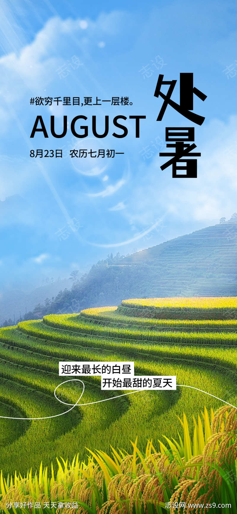 处暑节气梯田海报