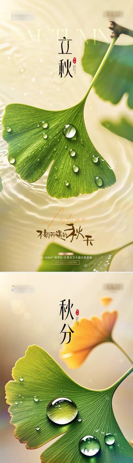 地产立秋秋分银杏叶露珠海报_源文件下载_PSD格式_1080X4552像素-意境,水波纹,秋天-作品编号:2025072411271303-源文件库-ywjfx.cn
