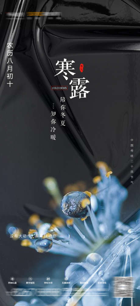 二十四节气寒露_源文件下载_PSD格式_1080X2362像素-寒露,节假日,节气-作品编号:2025072915258555-志‘设˘网