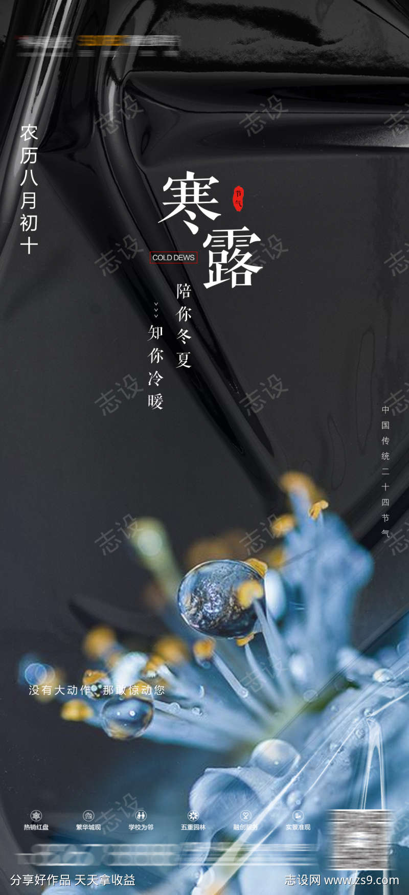 二十四节气寒露