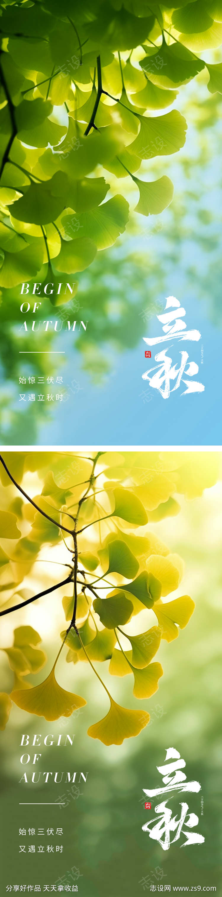 24节气立秋海报