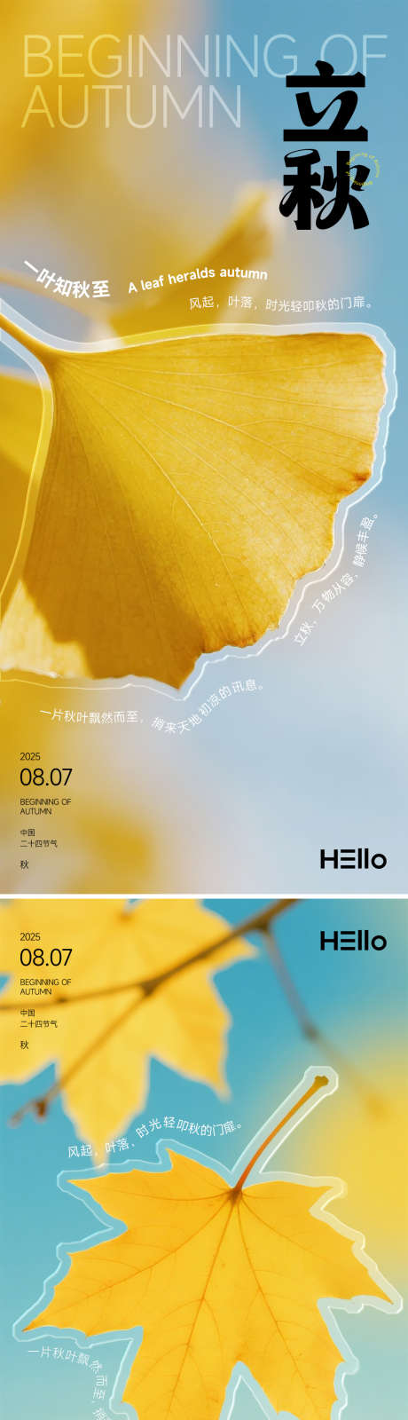立秋一叶知秋至_源文件下载_PSD格式_1080X4742像素-极简,简洁,清新-作品编号:2025072711456679-志设-zs9.com