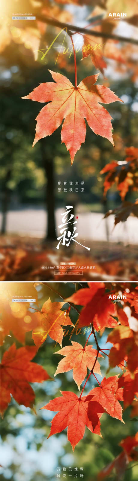 地产立秋秋分枫叶风景海报_源文件下载_PSD格式_1080X4545像素-早安,风景,落叶-作品编号:2025072808322819-志设-zs9.com