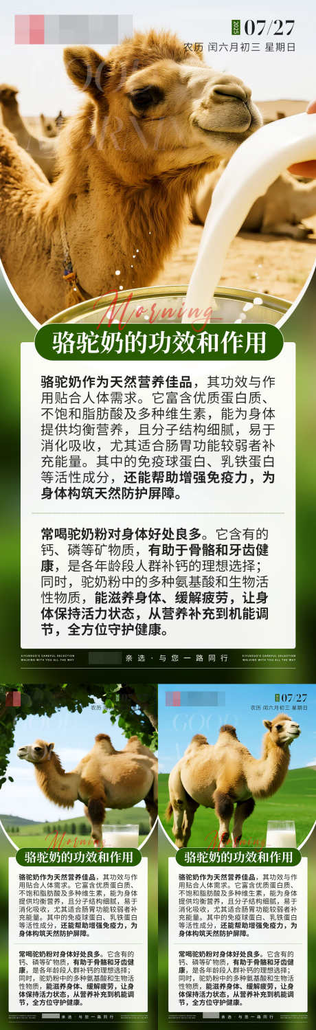 骆驼奶的功效和作用_源文件下载_PSD格式_1242X4048像素-系列,早安,海报-作品编号:2025072808593958-志设-zs9.com