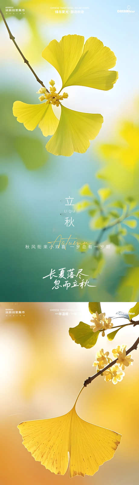 立秋秋分银杏叶摄影质感海报_源文件下载_PSD格式_1080X4680像素-质感,摄影,银杏叶-作品编号:2025072808578641-志设-zs9.com