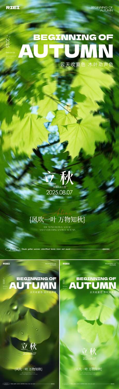 立秋节气海报_源文件下载_CDR格式_1085X3526像素-秋天,小清新,银杏叶-作品编号:2025072809172485-志设-zs9.com