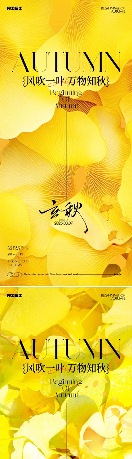 立秋节气海报_源文件下载_CDR格式_1081X4692像素-银杏叶,秋天,调性-作品编号:2025072809153533-志设-zs9.com