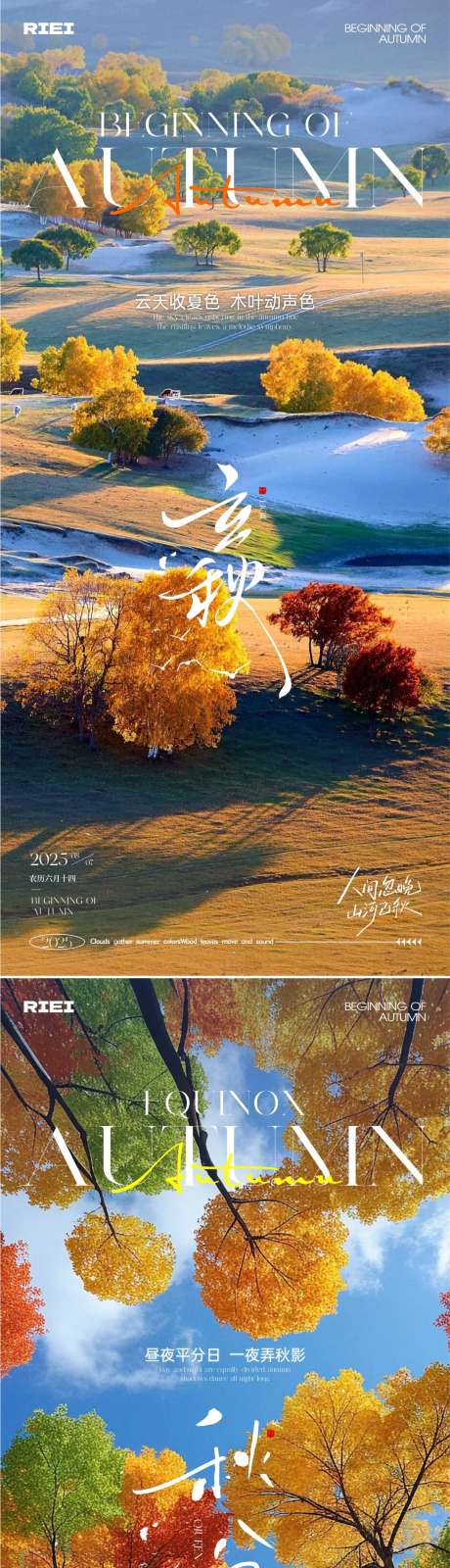 立秋秋分节气海报_源文件下载_CDR格式_1081X4686像素-秋天,清新,树林-作品编号:2025072810442902-志设-zs9.com