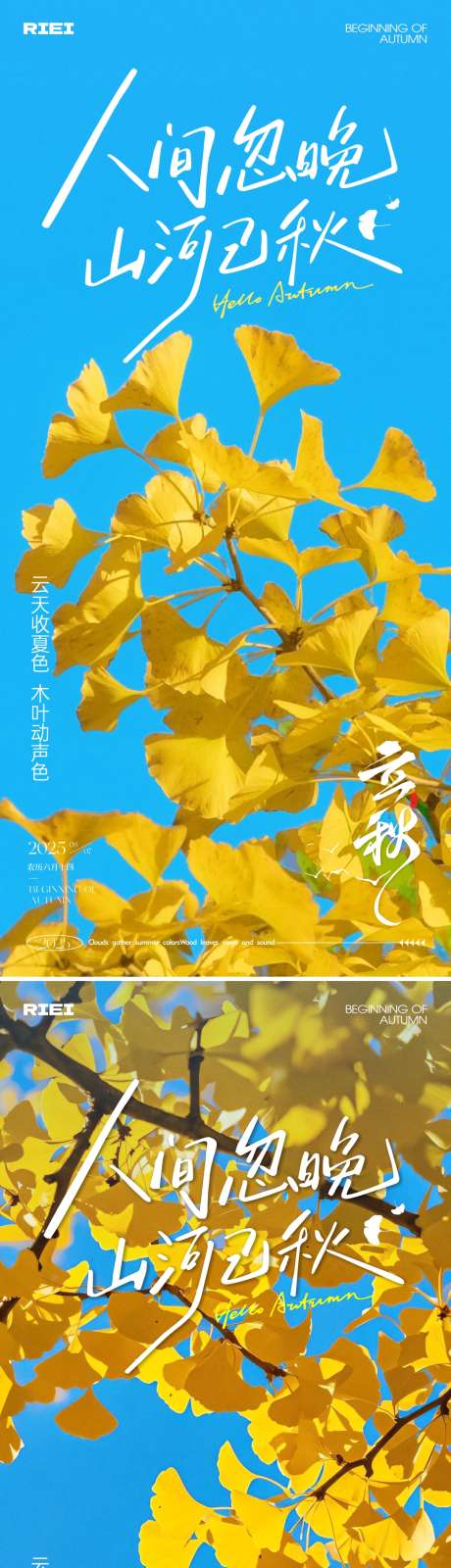 立秋节气海报_源文件下载_CDR格式_1080X4691像素-银杏叶,秋天,调性-作品编号:2025072810478445-志设-zs9.com