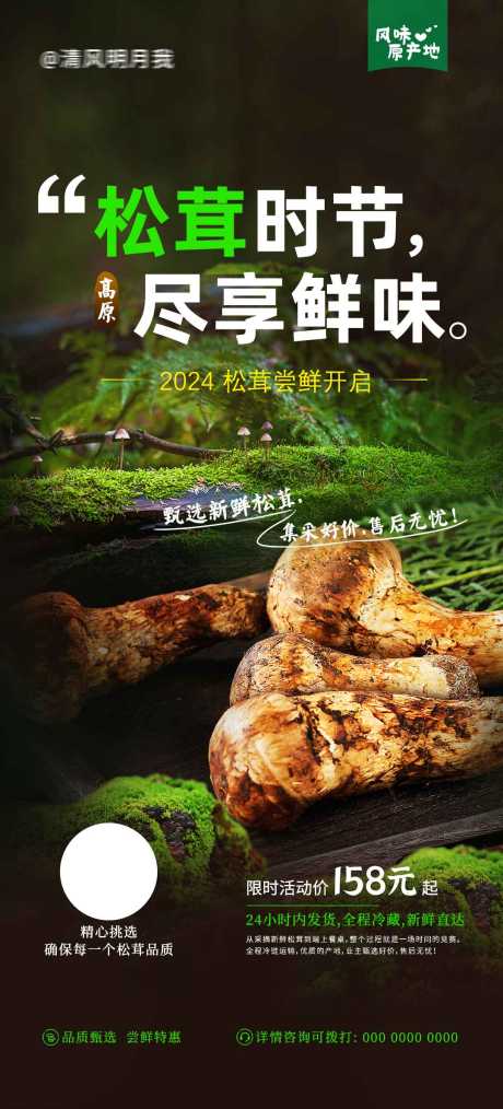 松茸尝鲜价_源文件下载_PSD格式_1080X2380像素-松茸,尝鲜价,简约-作品编号:2025072801414795-志˘设·网