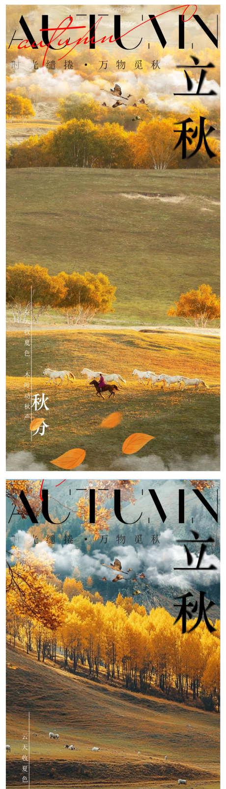 立秋节气海报_源文件下载_PSD格式_850X3564像素-树林,大雁,风景-作品编号:2025073009123768-志设-zs9.com
