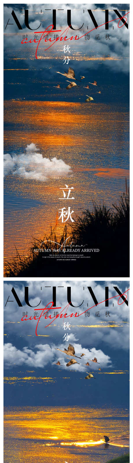 立秋节气海报_源文件下载_PSD格式_800X3354像素-江门,品牌,海报-作品编号:2025073013408255-志设-zs9.com