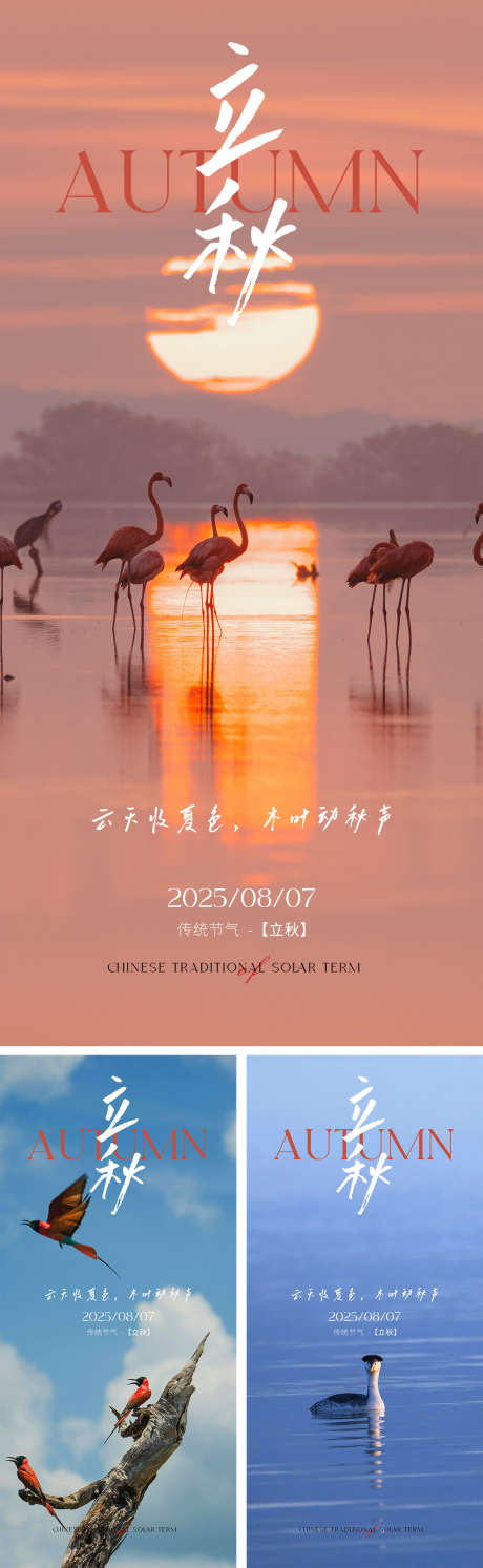 立秋节气海报_源文件下载_PSD格式_1125X3651像素-简约,自然,清新-作品编号:2025073014092433-志设-zs9.com