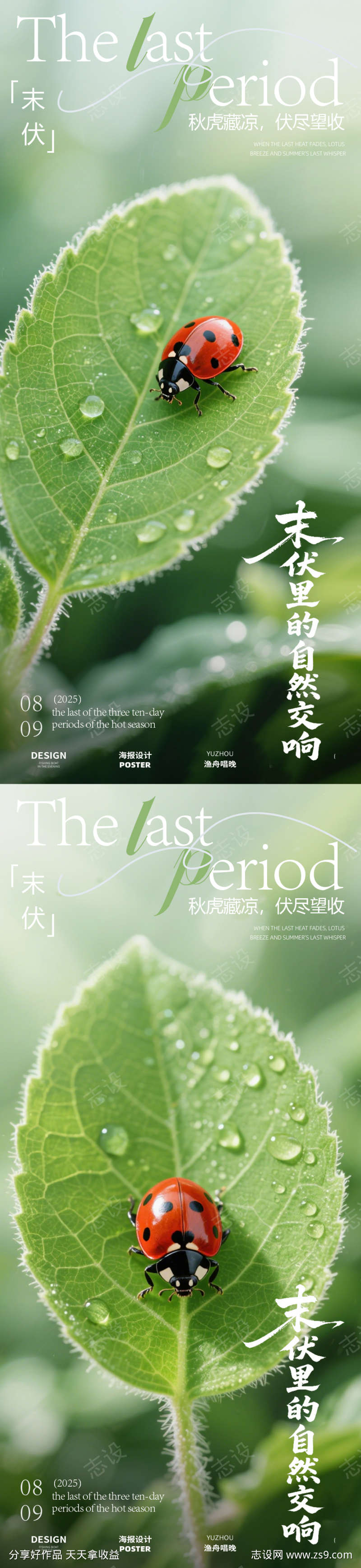 末伏夏季海报设计