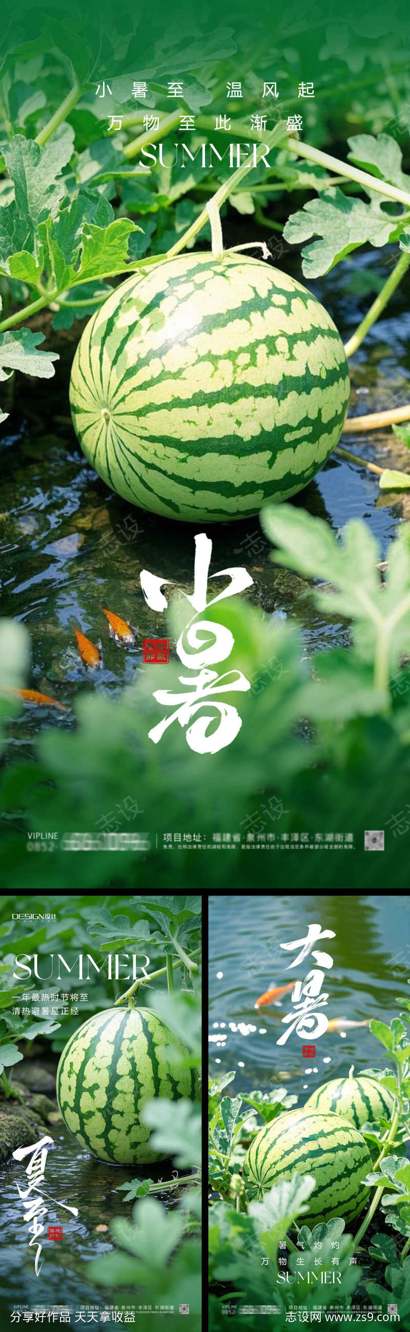 夏至大暑小暑西瓜海报