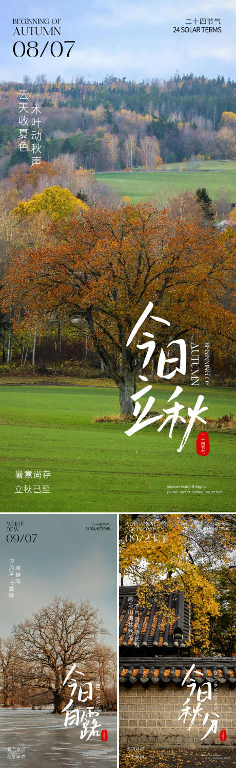 立秋白露秋分系列海报_源文件下载_PSD格式_1125X3651像素-海报,系列,简约-作品编号:2025073113227656-志设-zs9.com