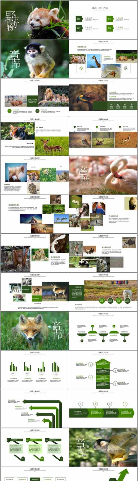 保护动物ppt_源文件下载_PPT,PPTX格式_1800X7600像素-保护日,ppt,保护动物-作品编号:2025080413092111-志·设˙网