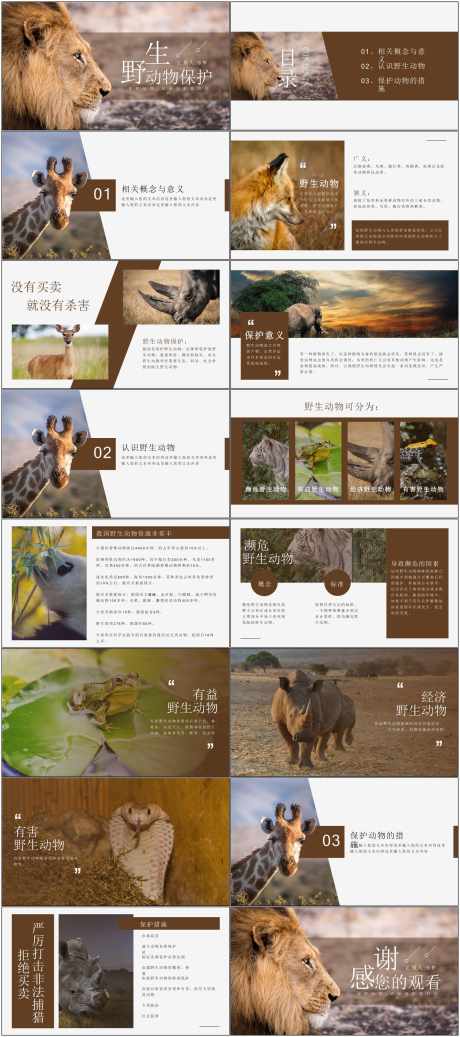 保护动物ppt_源文件下载_PPT,PPTX格式_1800X4058像素-ppt,保护动物,动物-作品编号:2025080416154697-志·设′网