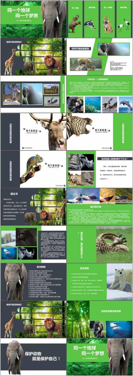 保护动物ppt_源文件下载_PPT,PPTX格式_1800X5070像素-保护日,ppt,保护动物-作品编号:2025080415526411-志设
