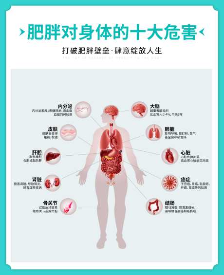 肥胖危害人体内脏器官减肥知识科普海报_源文件下载_PSD格式_4648X5704像素-知识,减肥,器官-作品编号:2025073117079952-志`设ʹ֣֤֚֫֗ׄ网
