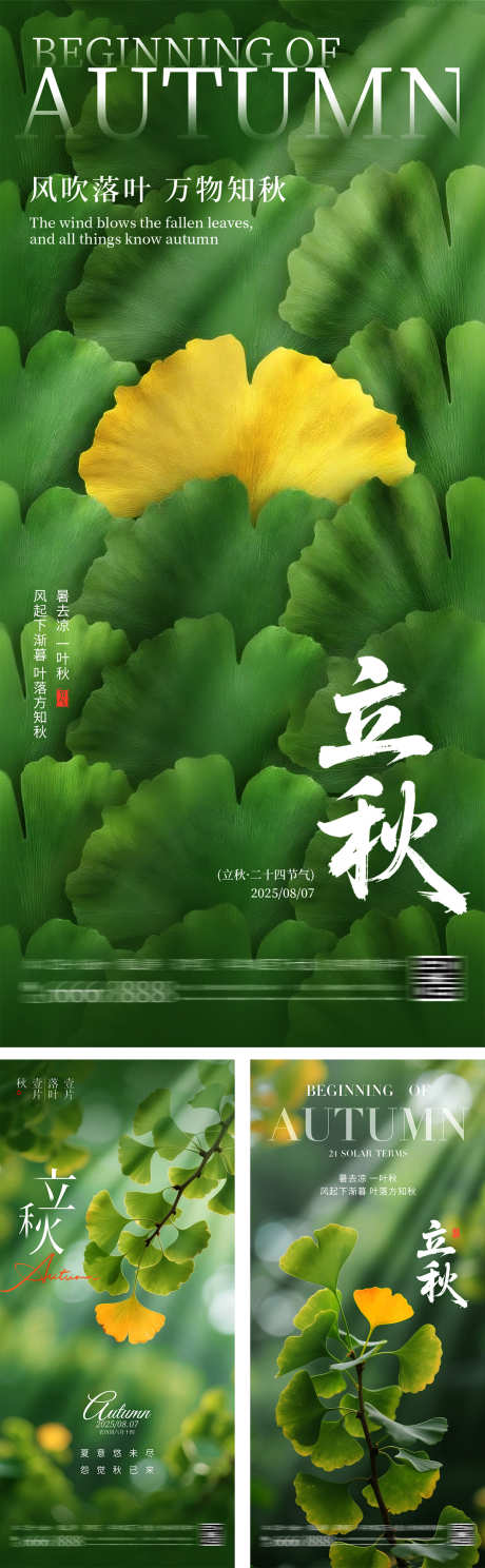 立秋秋分节气银杏叶海报_源文件下载_PSD格式_1200X3882像素-黄叶,创意,大气-作品编号:2025073117325419-志设-zs9.com