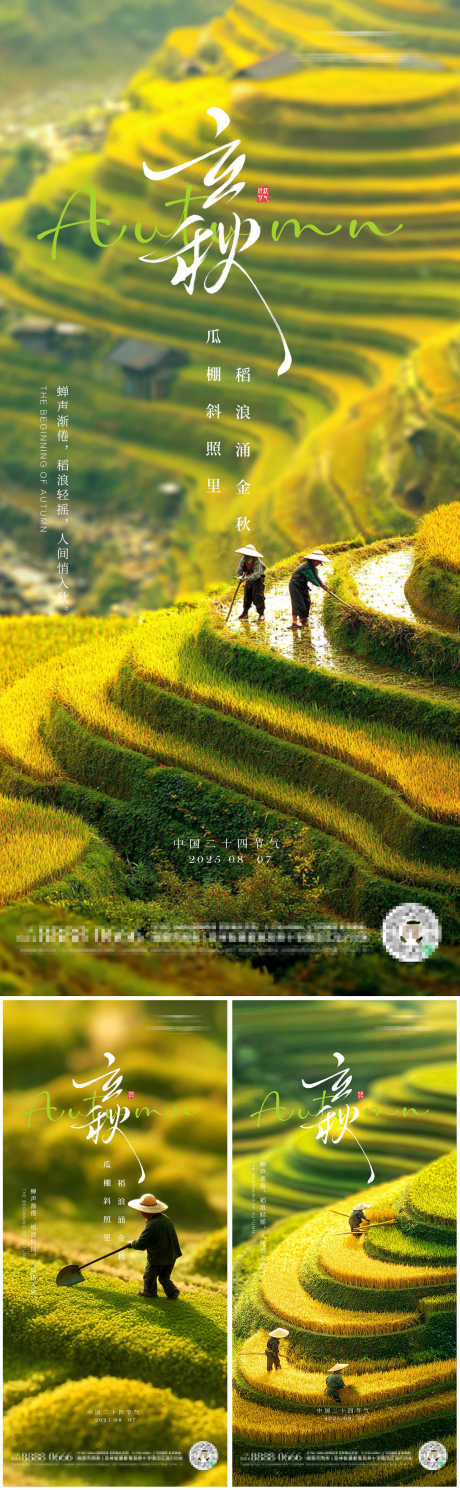 立秋二十四节气朋友圈海报_源文件下载_PSD格式_1125X3644像素-绿色,种田,微观-作品编号:2025080114246474-志设-zs9.com