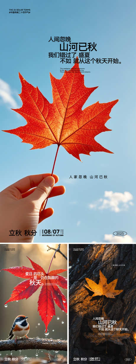 唯美叶子立秋秋分节气海报_源文件下载_AI格式_1562X4167像素-海报,唯美,天空-作品编号:2025080310128614-志˓设˱网