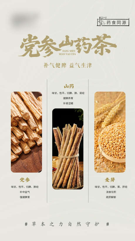 养生茶成分_源文件下载_PSD格式_1080X1920像素-新中式,养生茶,养生-作品编号:2025080310165352-志设-zs9.com