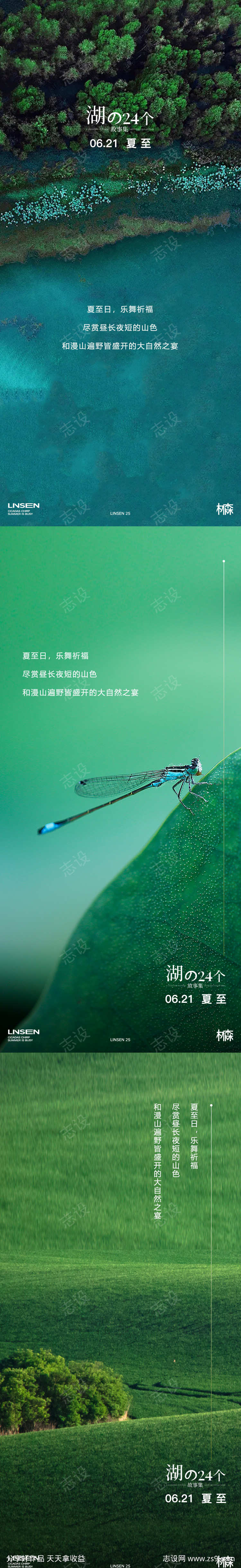 夏至节气海报