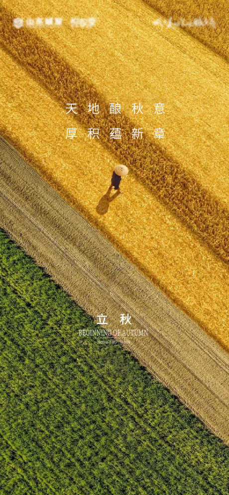 立秋二十四节气海报_源文件下载_AI格式_1851X4001像素-秋季,美图,节气-作品编号:2025080413359646-志设-zs9.com