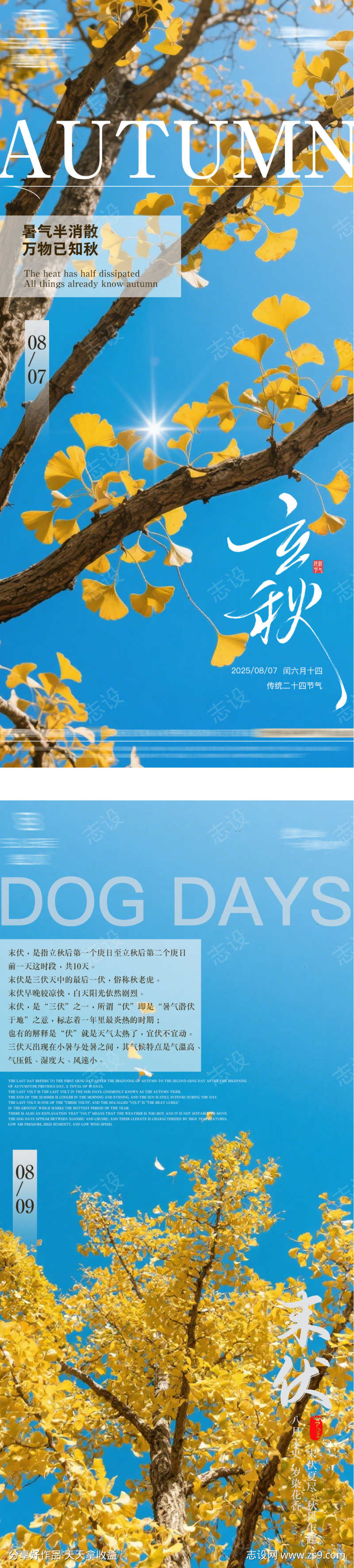 立秋末伏节气海波