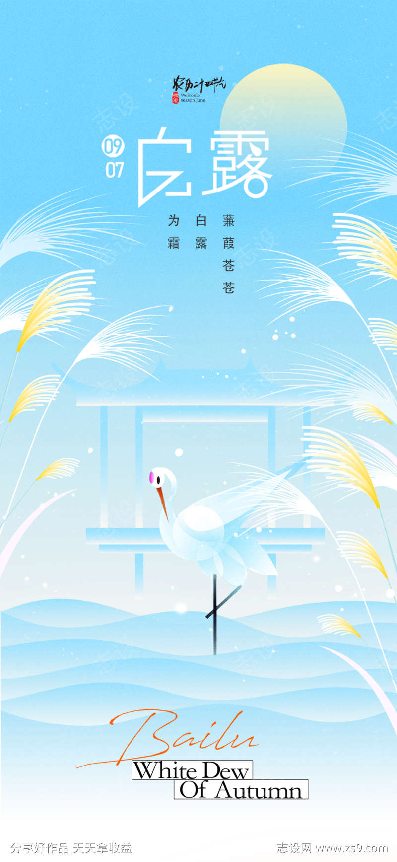 白露节气新中式白鹭芦苇简约海报