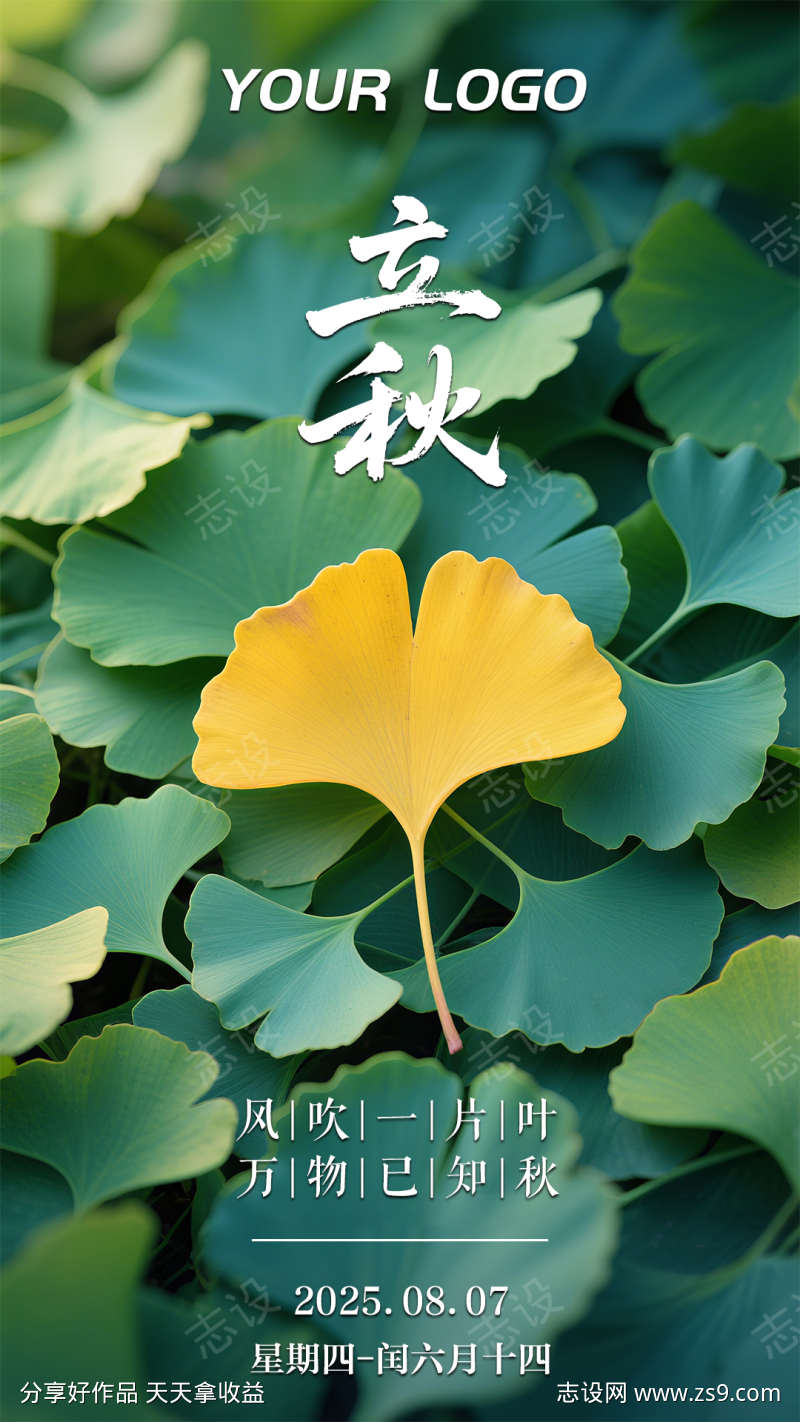 清新简约银杏叶立秋节气海报