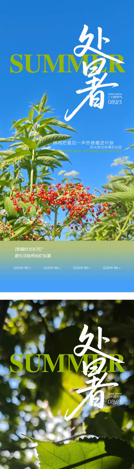 二十四节气处暑系列海报_源文件下载_PSD格式_800X3511像素-绿叶,红果,炎热-作品编号:2025080613124043-志设-zs9.com
