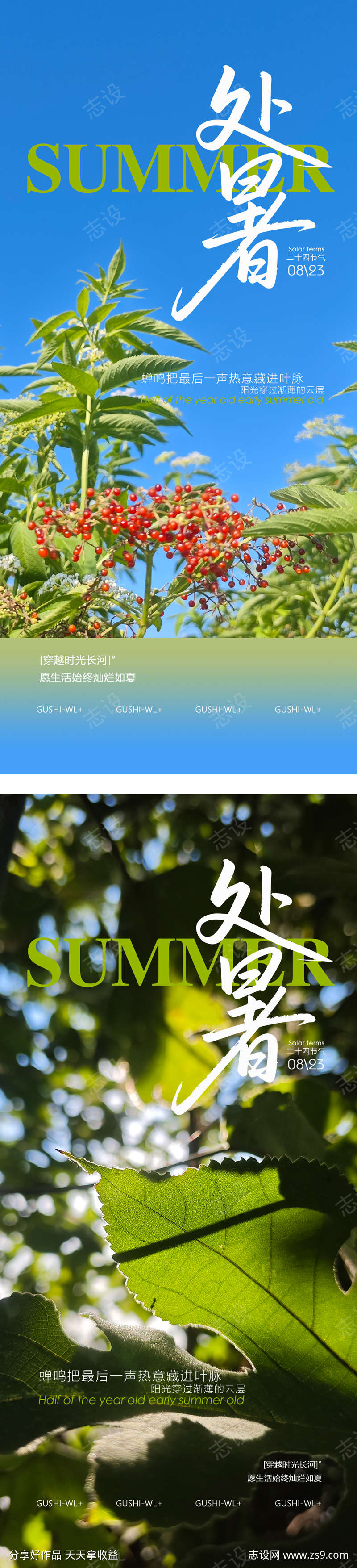 二十四节气处暑系列海报