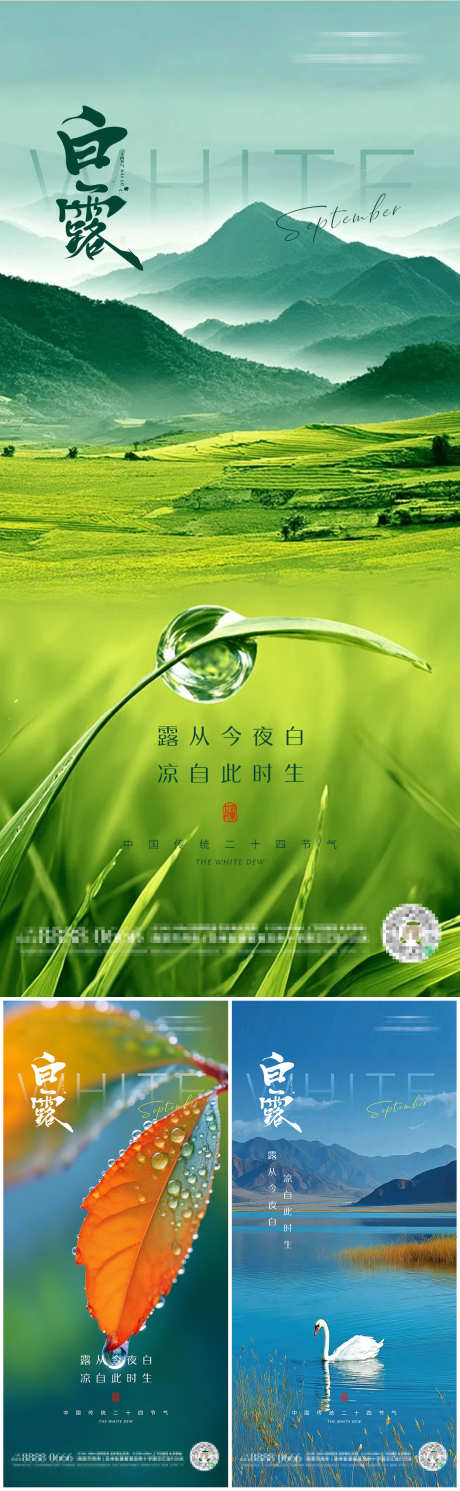 中国传统白露二十四节气朋友圈海报_源文件下载_PSD格式_1125X3646像素-露珠,山水,风景-作品编号:2025080810022140-志设-zs9.com