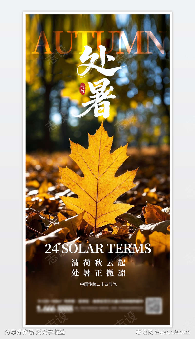 中国传统二十四节气处暑海报